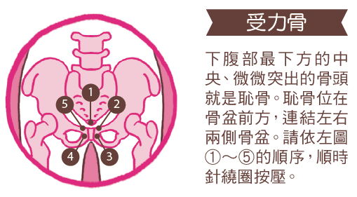 喝四物飲還不夠 女人必學 恥骨按摩 只要5秒鐘 有效改善循環 生理痛 每日健康health