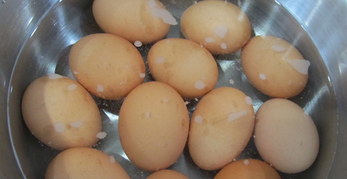 egg